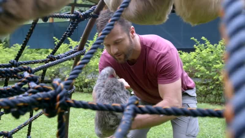 Animal Planet sloth sanctuary broadcast